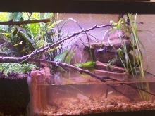 New Waterfall