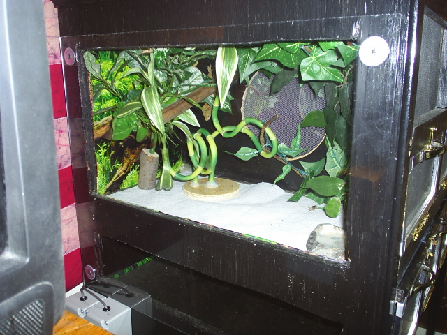 side view of top section