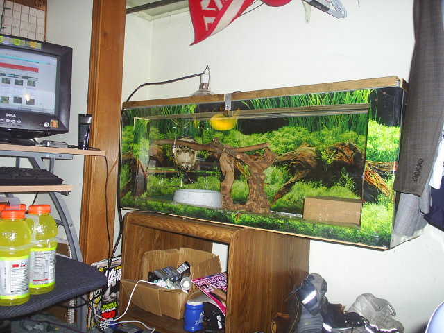 better overall view of burm enclosure