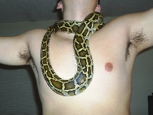 Jewelry ?