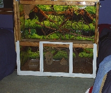 ball python enclosure