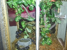 crested enclosure