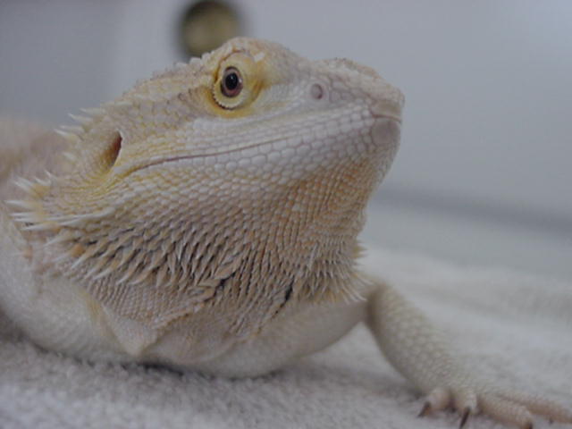 She loves the camera!