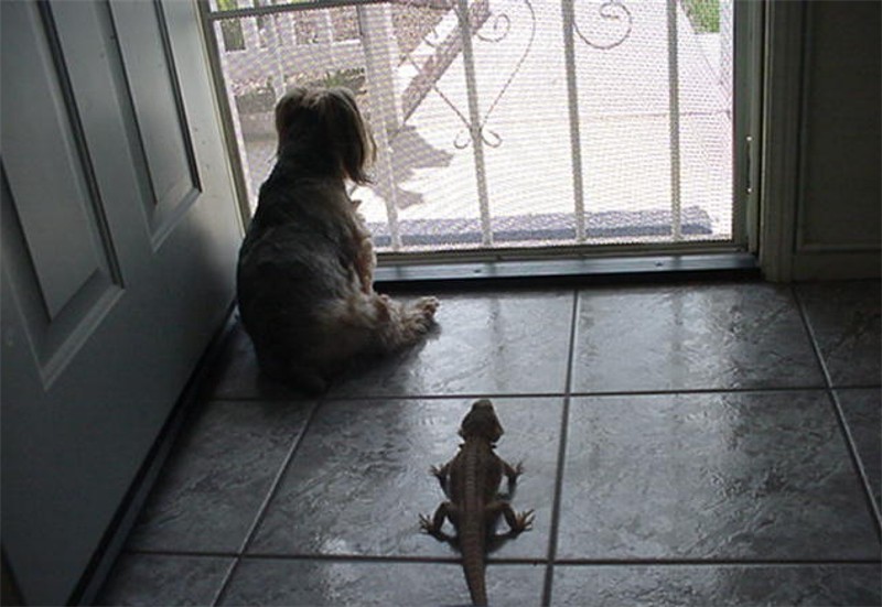 athena and allie