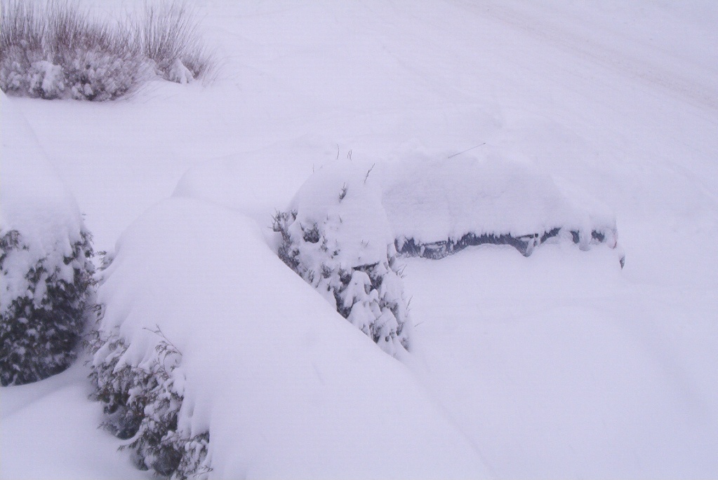 winter Canada