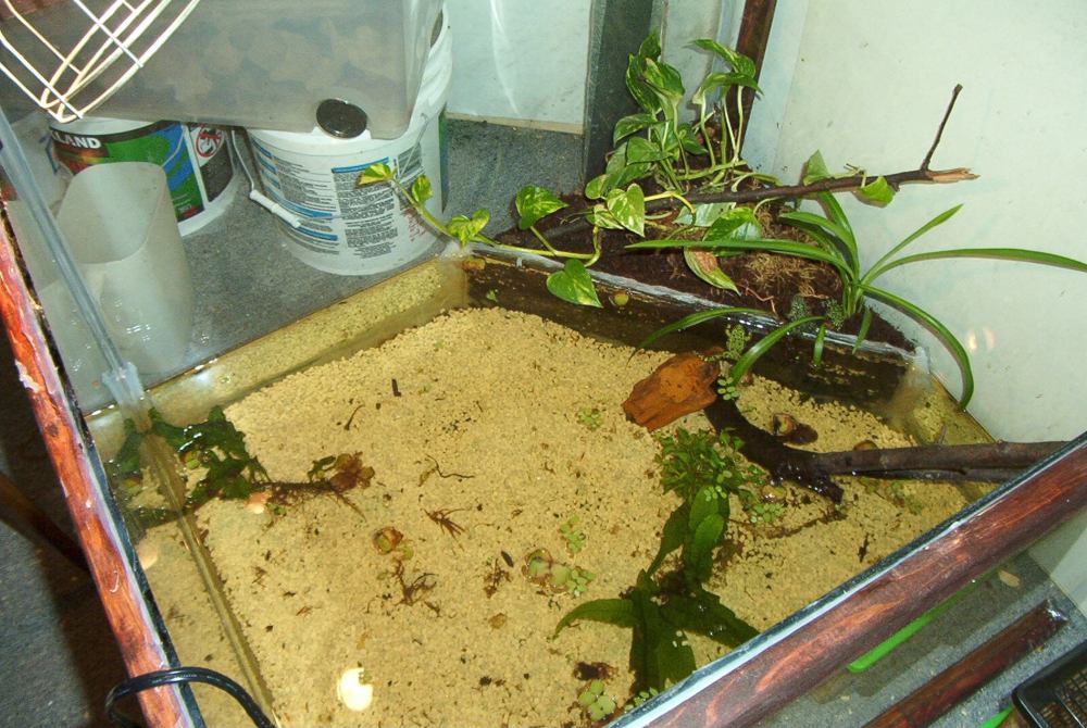 Terrarium