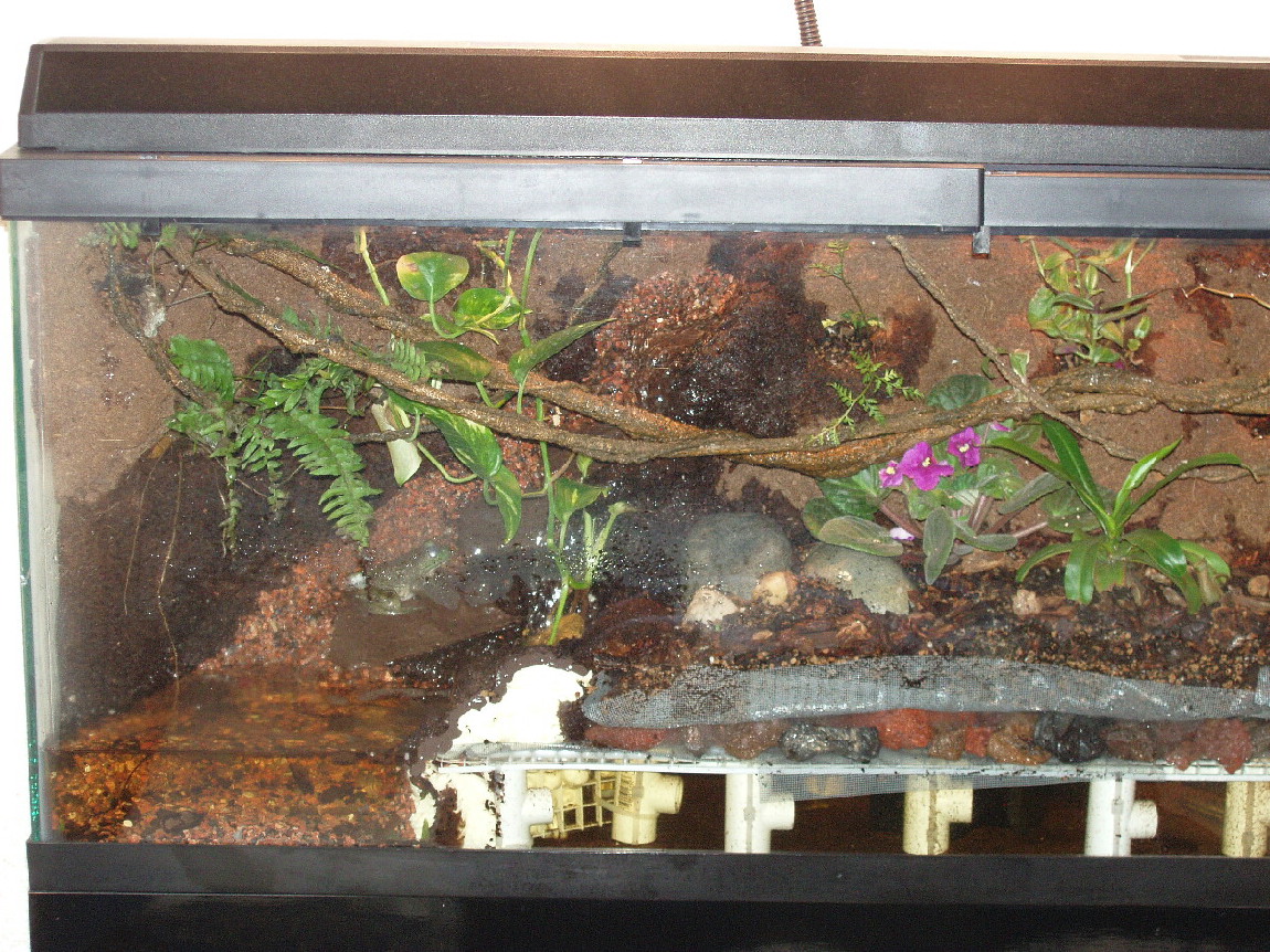 Left Side of Terrarium