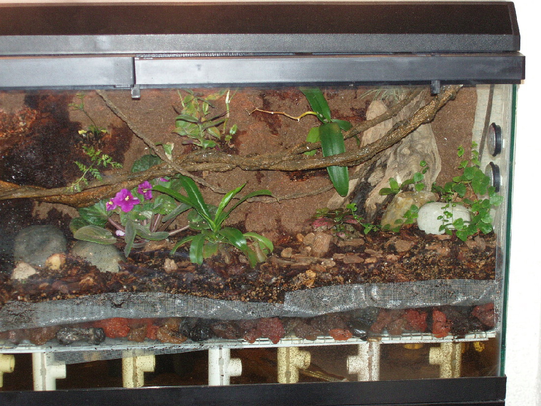 Terrarium Right side