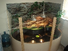 caiman sweet home