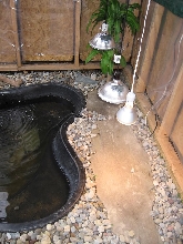 ghostface basking area