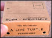 1932 Turtle Shipping Box