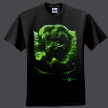 Gree Tree Python Shirt
