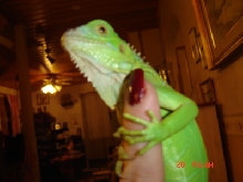 My baby!