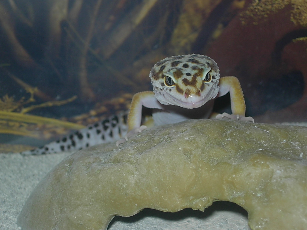 Standing