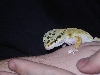 hand1