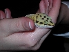 hand 3