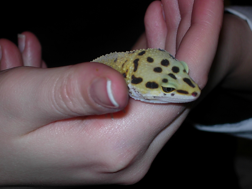 hand 3