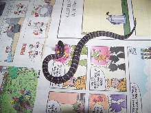 Mex-mex (2009 hatchling)