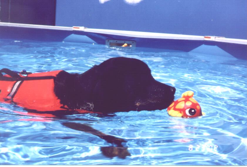 Chad:  Look out little fishy!