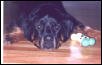 Mallory bored out of her mind!