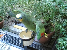 my OWA are taking his shower.