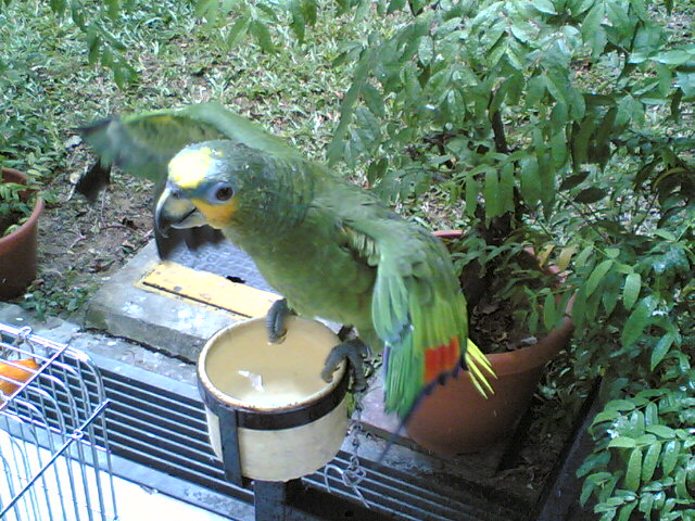 my OWA are taking his shower.