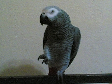 my jacky here...