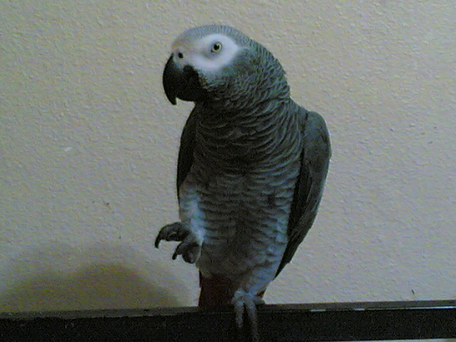 my jacky here...