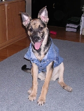 Cookie Posing!