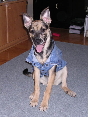 Cookie Posing!