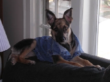 Cookie Posing 2