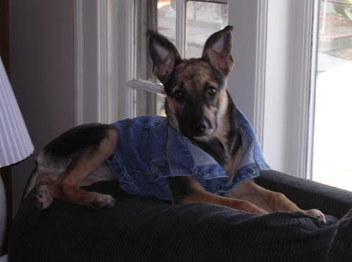 Cookie Posing 2