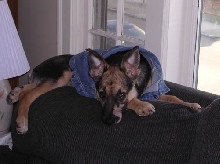 Cookie Posing 3