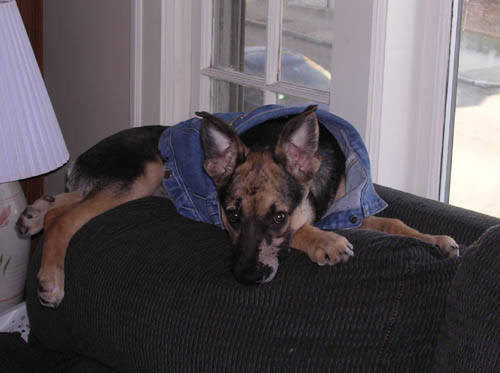 Cookie Posing 3