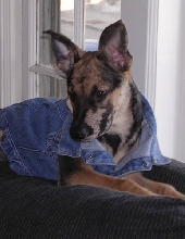 Cookie Posing 4