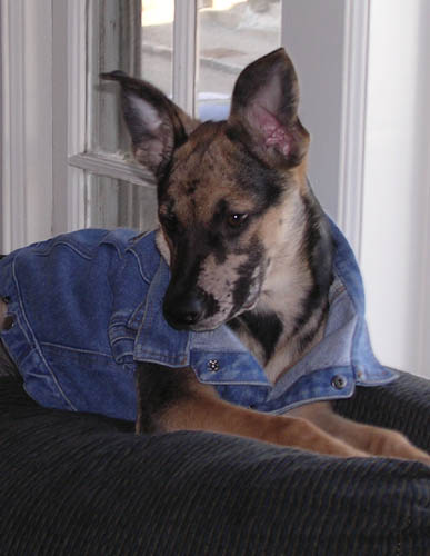 Cookie Posing 4