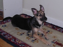 Cookie 6 months