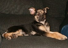 Cookie again 2 weeks later
