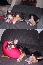 Before and After