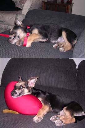 Before and After
