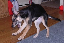 Playing 1