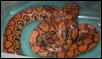 2 year old male BRB