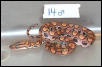 Sold. 2002 Male BRB #14