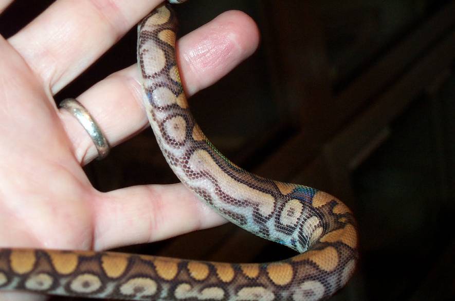 BRB with extreme pattern variation
