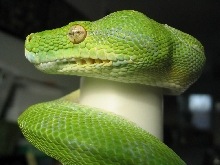 bad shed close up