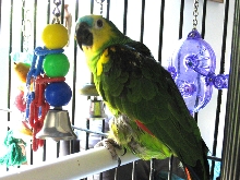 Astro 2
