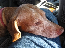 Car Ride