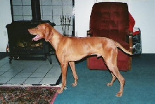 Otto, side view