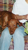 Otto, 3-4 yrs. old