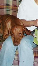 Otto, 3-4 yrs. old